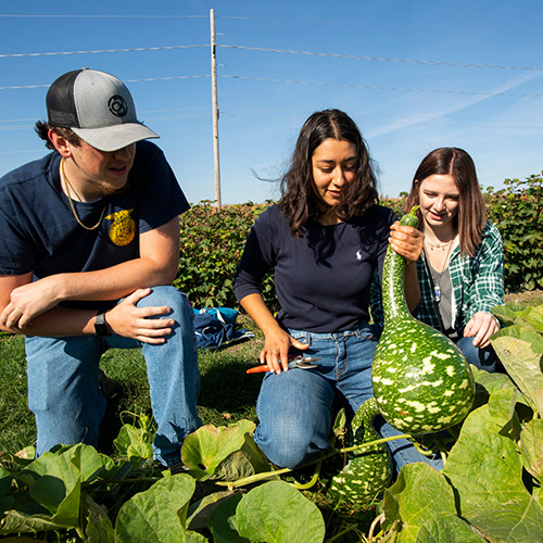 three students looking at a squash gourd