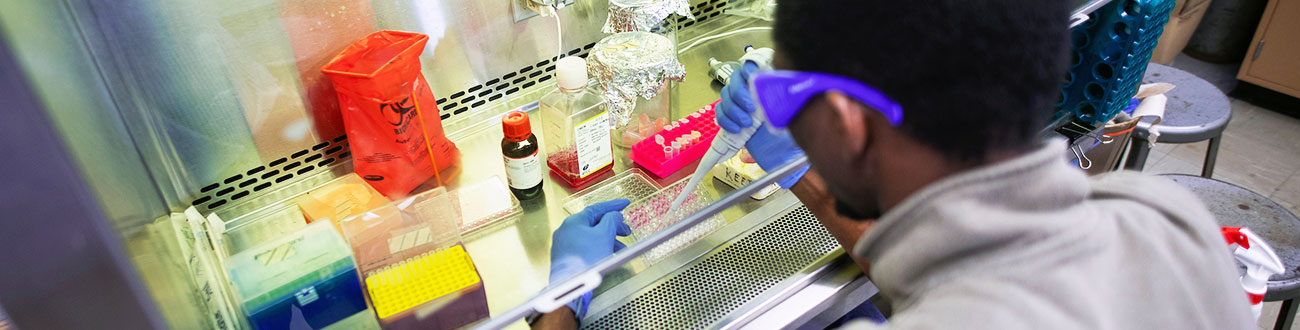 student working in a lab