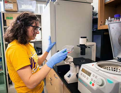 chemistry student working in a lab