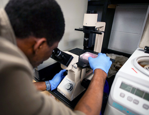 graduate student working in a lab