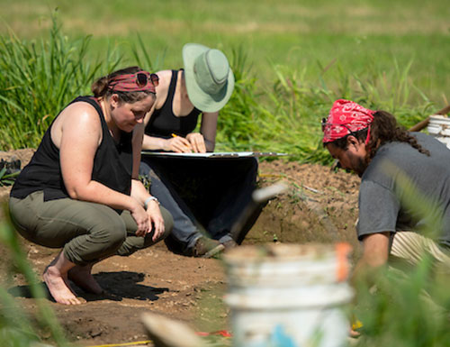 students working in a field