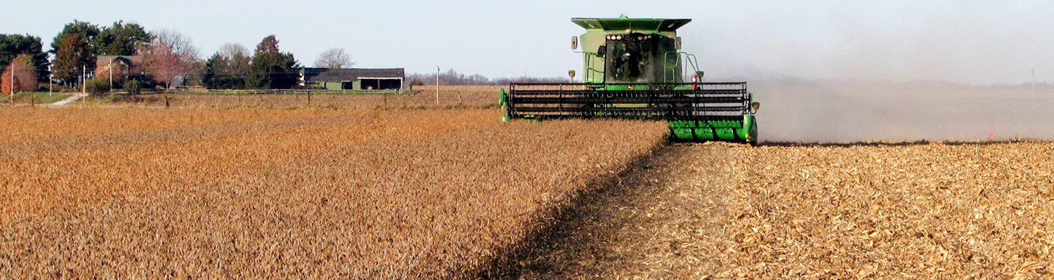 Combine Harvesting a field