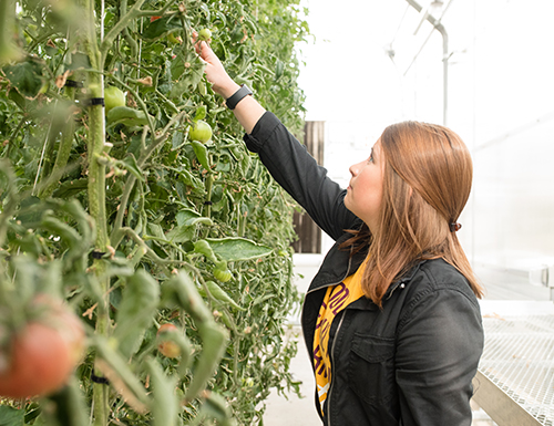 students in the greenhouse