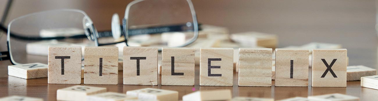 Title IX spelled out in wooden blocks