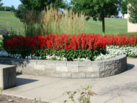 Cardinal Court, Flowers